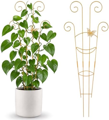 2 Pcs 30'' Monstera Plant Trellis for Pots, Metal Garden Trellis for Outdoor Plant Climbers, Expandable Houseplant Support with Butterfly Design for Monstera Ivy Hoya Vine, Gold by Unknown