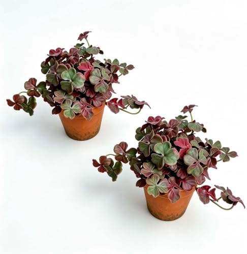 2 Pack Artificial Shamrock Potted Plants, Fake Clover Greenery with Pot by QenyiHPD