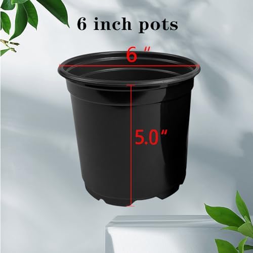 RAOOKIF 100 Pack Nursery Pots, 6 Inch Plastic Plant Pots with Drainage Holes, Black Garden Flower Pots for Transplanting, Succulents, Cuttings, Seedlings (6inch,100pcs) - Image 2