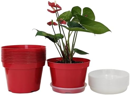 RooTrimmer 8 inch Plastic Flower Pots, Red Plant Pots 12Pack with Saucers for Indoor House Plants Growing and Decoration by RooTrimmer