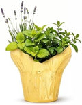 Herb Combo - Stress Reliever, Lemon Balm, Lavender & Mint, Aromatic Plant Collection in Deco Cover, 12" Tall by 6" Wide in 1.25 Qt Pot by TheThreeCompany