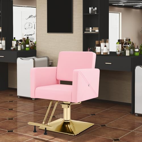 Artist hand Hair Salon Chair Pink and Gold, Hydraulic Styling Chair - Image 2