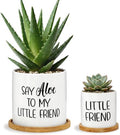 Say Aloe to My Little Friend Planter Pot Plant Lover Set with Bamboo Tray by Tuitessine