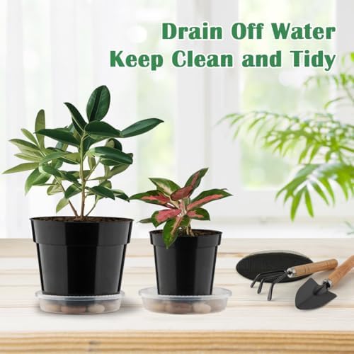 RooTrimmer 20 Pack Plant Pots, 6 Inch Plastic Plant Planter with Saucers and Mesh Mats, Durable Flower Pots with Drainage Holes Perfect for Indoor Outdoor, Black - Image 5
