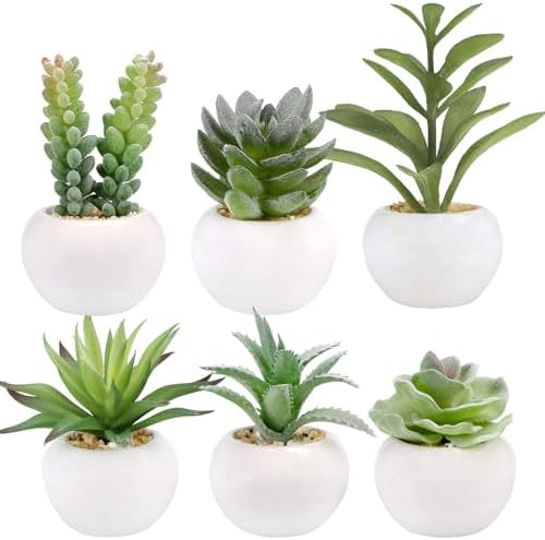 GREENTIME 6 Pcs Artificial Succulents in Ceramic Pots Small Fake Plants by Greentime