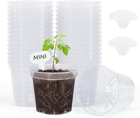 homenote 3 Inch Clear Nursery Pots with Drainage Holes and Labels (30 Pcs) by HOMENOTE