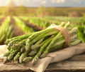 Millennium Asparagus Crowns 12 Pack | 2 Year Bare Root Live Plants | High Yield Cold Hardy Perennial Vegetable Roots | Premium Green Asparagus Garden Starter Crowns by CZGrain