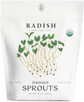 Organic Radish Sprout Seeds (16 oz) – Non-GMO, Heirloom Seeds for Sprouting and Microgreens by Sereniseed