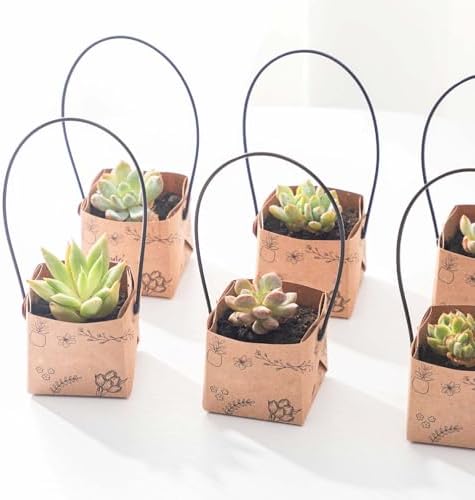 40Pcs Succulent Wrap Bags (fits 2 inch pots), Mini Kraft Succulent Favour Box Basket with Handle for Wedding, Baby Shower, Succulent Party Favours for Guests - Image 4