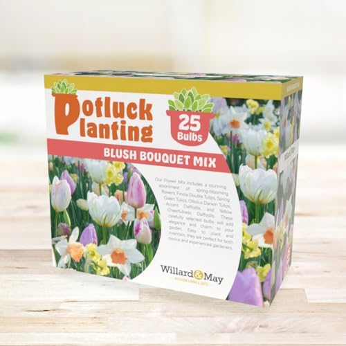 All-in-One Flower Garden Kit - 25 Flower Bulbs Per Box - Potluck Planting Blush Bouquet Mix - Tulip and Daffodil Mix - Fragrant - Naturalizing - Live Outdoor Garden - Easy to Plant Flowers - Image 5