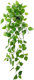 LOYWREE Small Fake Hanging Plant Artificial Potted Plants for Indoor Outdoor Aesthetic - 39in Realistic Faux Hanging Pothos with Ivy Vine for Shelf Decor in Home Office Gardens Greenery (Black Pot) by Unknown