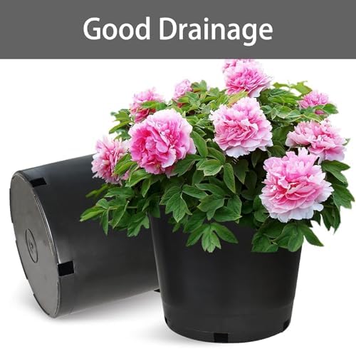 25 Gallon Nursery Pot 5-Pack 25 Gal Plastic Garden Planter Pots - Image 4