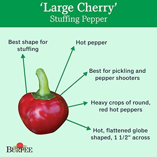 Burpee Large Cherry Hot Pepper Seeds – Hot Red Cherry Pepper Seeds for Home Garden Growing, 150 Seeds - Image 2