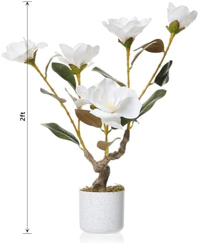 2FT Artificial Magnolia Tree with Pot, Faux Flower Tree with White Magnolia Blooms and Green Leaves, Potted Artificial Plant for Living Room, Bedroom, Office, Entryway, Store, Home Dector - Image 2