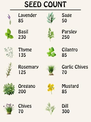 Herb Seed Pack Collection - 12 Varieties Including Basil, Parsley, Rosemary, Dill, Chives, Garlic Chives, Oregano, Mustard, Thyme, Cilantro, Sage & Lavender - Great for Gardening & Cooking - Image 2