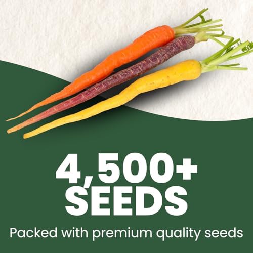 Carrot Rainbow Mix – 4,500 Premium Heirloom Seeds for Planting – Colorful, Sweet Root Blend for Garden & Kitchen for the 2026 Season – 5 Gram Pouch - Image 2
