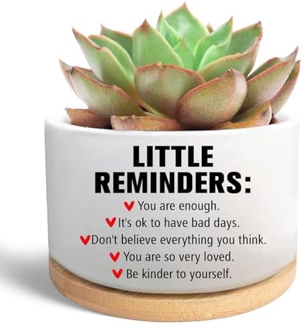 Office Desk Shelf Decor, Funny Succulent Plant Pot (Plants Not Included) by Unknown