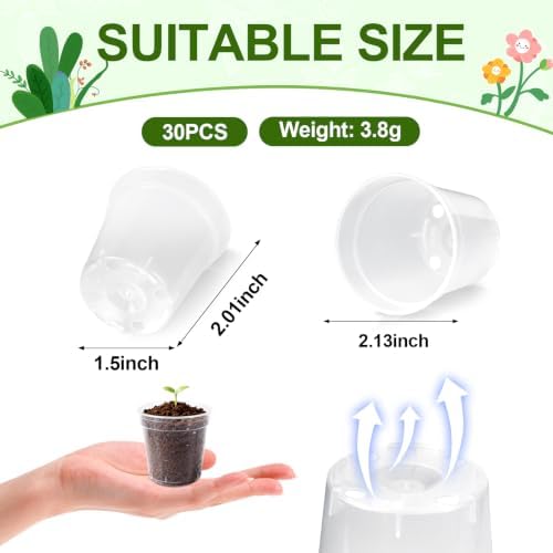 30 Pcs 2 Inch Clear Mini Nursery Pots, Seedling Pots with Drainage Holes - Image 2