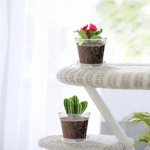 WSMKSZ 4 Inch Clear Nursery Pots, 8 Pack Highly Transparent Plant Pots for Small Indoor Plants with Drainage Holes and Trays, Plastic Seedling Starter Planters for Flowers - Image 7