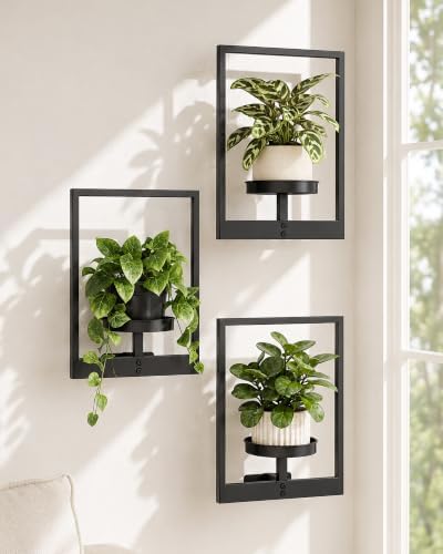 Bamworld Hanging Planters for Indoor Plants Wall Decor Living Room by Bamworld