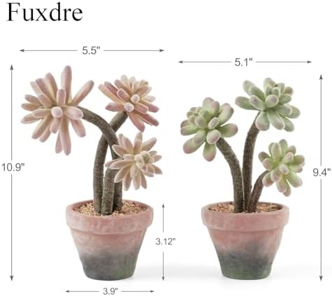 Artificial Succulents in Waterproof and Drop-resistant Pots with 2 Pack - Image 2