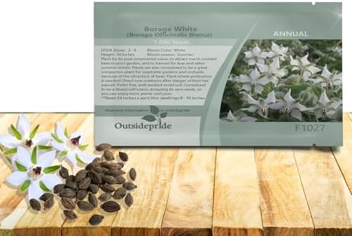 Outsidepride White Borage Seeds for Planting – 2000 Pcs. Annual, Drought-Tolerant Herb Seeds with Star-Shaped Blooms, Attracts Bees for Pollinator Gardens, Summer Teas, Decoration & Culinary Use by Outsidepride