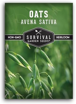 Oat Seeds for Planting - 1 Pack by SurvivalGardenSeeds