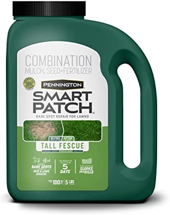 Pennington Smart Patch Tall Fescue Grass Seed, 5 lb Jug by Pennington