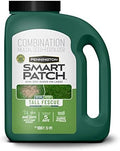 Pennington Smart Patch Tall Fescue Grass Seed, 5 lb Jug by Pennington