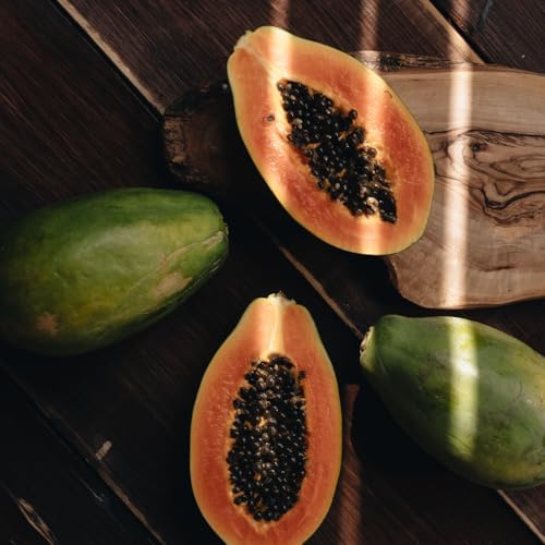 Sweet Papaya Live Tree, Well-Rooted Starter Plant, 4-8 Inch Tall - Image 6