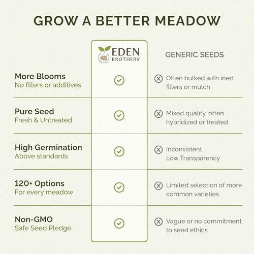 Eden Brothers Flowering Alternative Lawn Flower Seed Mix - Image 2
