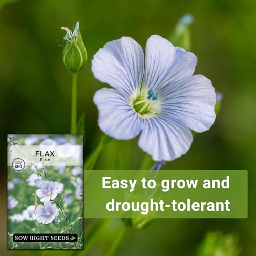 Sow Right Seeds - Blue Flax Seed for Planting Perennial Wildflower Garden - Image 5