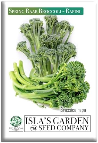Spring Raab Broccoli Seeds (aka Rabe, Rapini, Broccolini) – 300+ Non-GMO & Heirloom Seeds, Brassica oleracea, Fast-Maturing Cool Season Green, by Isla’s Garden Seeds, Gift Idea for Home Gardens by IslasGardenSeedsCompany