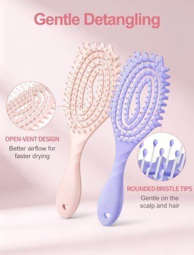 HIPPIH 2 Pack Hair Brush - Wet Dry Detangler Brush, Hair Brushes for Women - Image 3