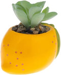 Karma, Shaped Artificial Succulents in Ceramic Pot, Faux Mini Succulent Plant, Desk Decor, Office Plants - Lemon by KarmaGifts