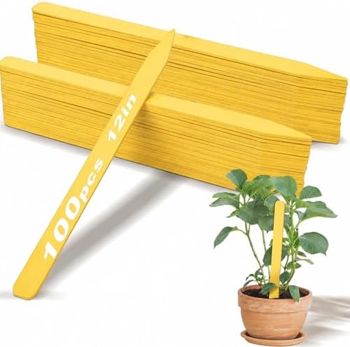 Weysat 200 Pcs 12" Wood Plant Labels for Field or Containers Plant Tags Wood Garden Labels for Seedling Stakes Markers Nursery Seed Tags with Smooth Surface for Pot Herbs Flowers Vegetables (Yellow) by Weysat