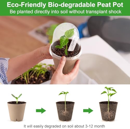 36 Set 3.15 Inch Peat Pots Plant Starters for Seedling with Humidity Dome - Image 5
