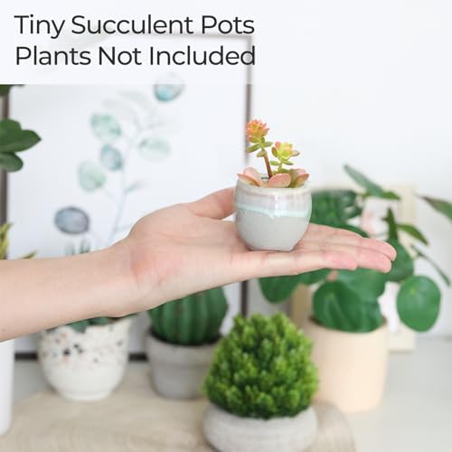 T4U Mini Ceramic Succulent Pots, Small Gift Planters, Retro Decor Set of 6 - Image 5