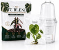 Monstera Thai Constellation, Complete Tissue Culture Kit – Rare Live Monstera Plant by Unknown