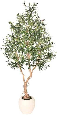 7ft Artificial Olive Tree with Tall Exquisite Planter Realistic Faux Olive Tree with Thick Trunk and Lifelike Leaves - Large Fake Olive Tree for Home Living Room Office Decor by Unknown