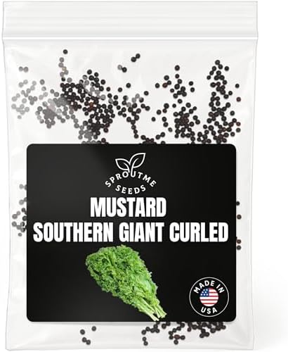 SproutMe Mustard Greens Southern Giant Curled 500+ Seeds for Planting by SproutMeSeeds
