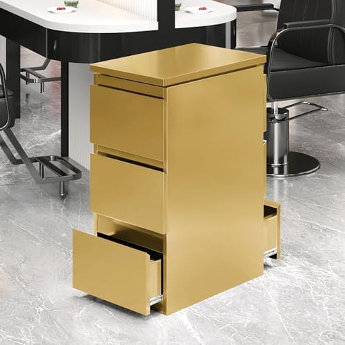Stainless steel Beauty Salon Storage Cabinet, 3 Drawers Barber Salon Station for Hair Stylist, Barber Salon Station Styling Station Equipment, Barber Shop Beauty Spa Tattoo Tool Storage Cabinet by Unknown