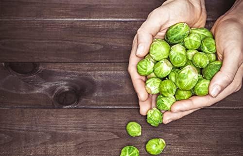 300+ Seeds Long Island Brussels Sprouts Cabbage - Vegetable Green - Image 2
