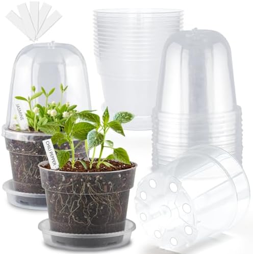 BTPLASTIK 6 Inch Clear Nursery Pots with Humidity Domes 15 Pack, Transparent Plastic Plant Pot with Drainage Holes and Saucers, Seed Starter Pots with 15 Pcs Plant Labels and 15 Pcs Soil Screens by BTPLASTIK