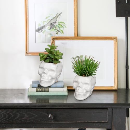 2PCS Artificial Succulent Plants Potted for Bedroom Bathroom Indoor Decor - Image 3