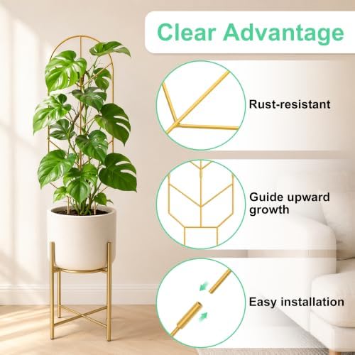 2 Pack Large Climbing Plant Trellis, 30'' Tall Garden Support for Potted Plants Indoor, Modern Decorative Trellis for Crawling Plants Jasmine, Wisteria and Lilac Vines (Gold) - Image 3