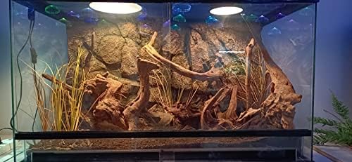 Fake Desert Dry Grass Reptile Plants Bearded Dragon Terrarium Décor - Image 4