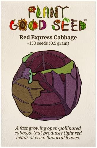 Red Express Cabbage Seeds for Planting: 150 Count by ThePlantGoodSeedCompany