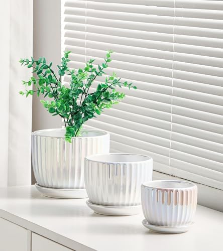 Plant Pots,Ceramic Flower Pots with Drainage Holes & Saucer Set of 3（Pearl） - Image 6