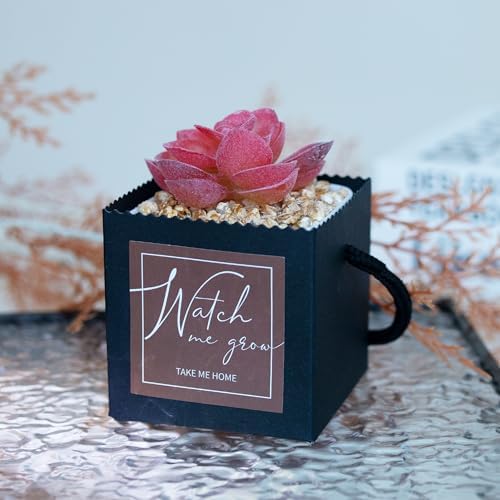 Temlum 2.5 Inch Succulent Wrap Bags (Fits 2.5″ Pots) with Thank You & Watch Me Grow Stickers, Small Gift Box for Wedding, Baby Shower, Succulent Party Favors for Guests (Black 40pcs) - Image 4